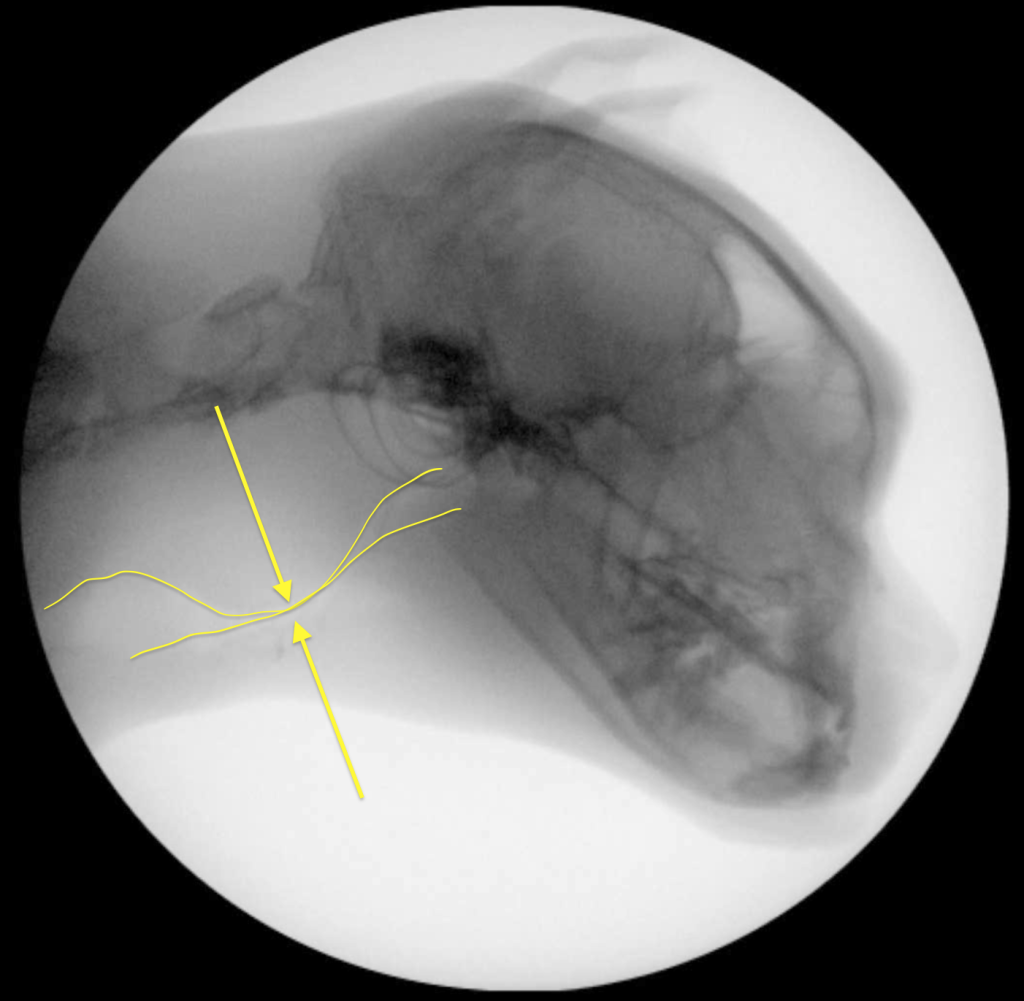Рис 1б Рис 1б