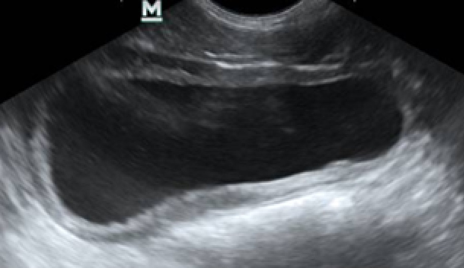 Рисунок 4 Рисунок 4