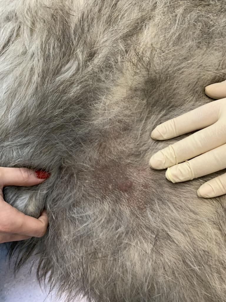 Фото 2 Фото 2