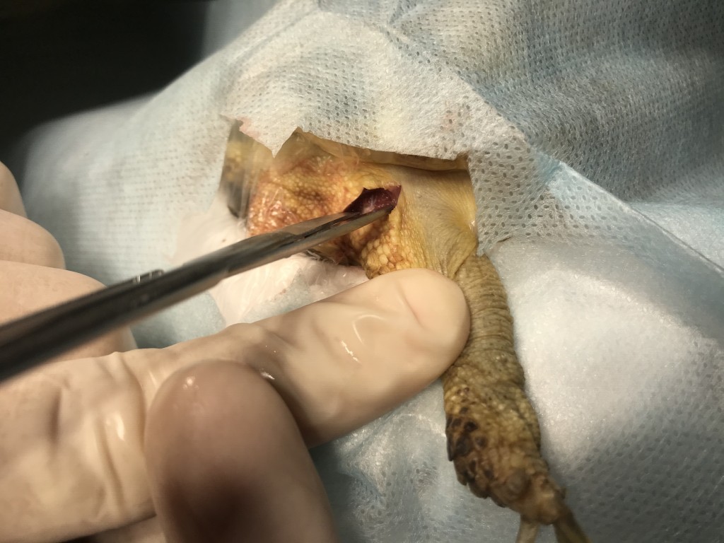 Фото 3 Фото 3.jpeg