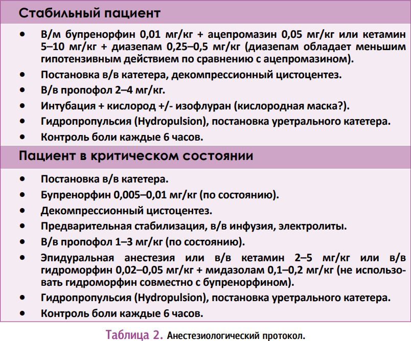 Это изображение имеет пустой атрибут alt; его имя файла - fd6cac655bf41c7026589480527e0a95.png